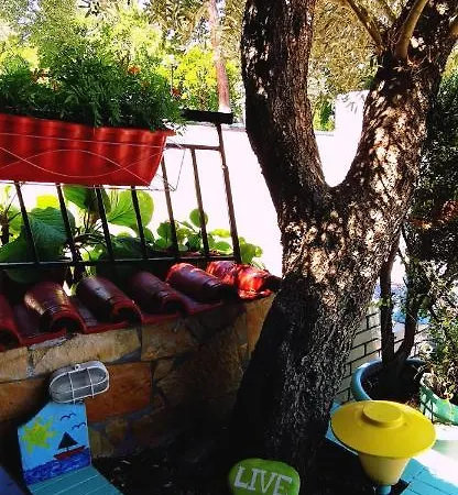 Erato 3* نيوز  بانتيليموناس