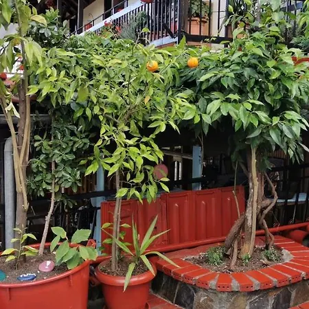 Erato Hotel