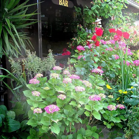 Erato 3* نيوز  بانتيليموناس